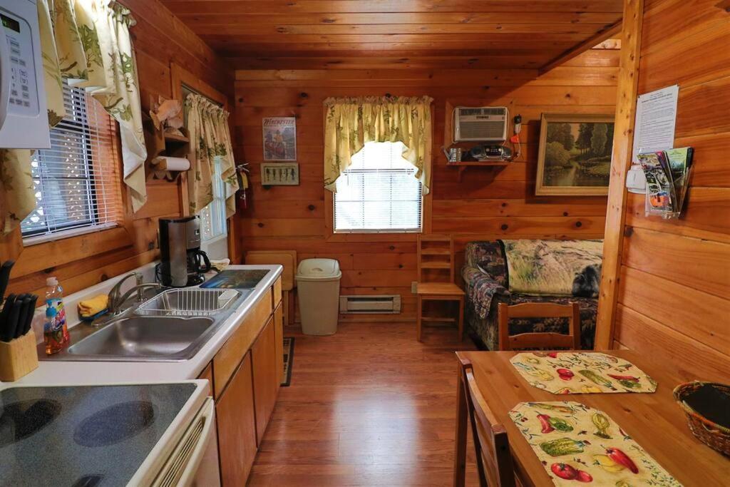 Mountain Cabin 2B Jacuzzi #10 Helen Exterior foto